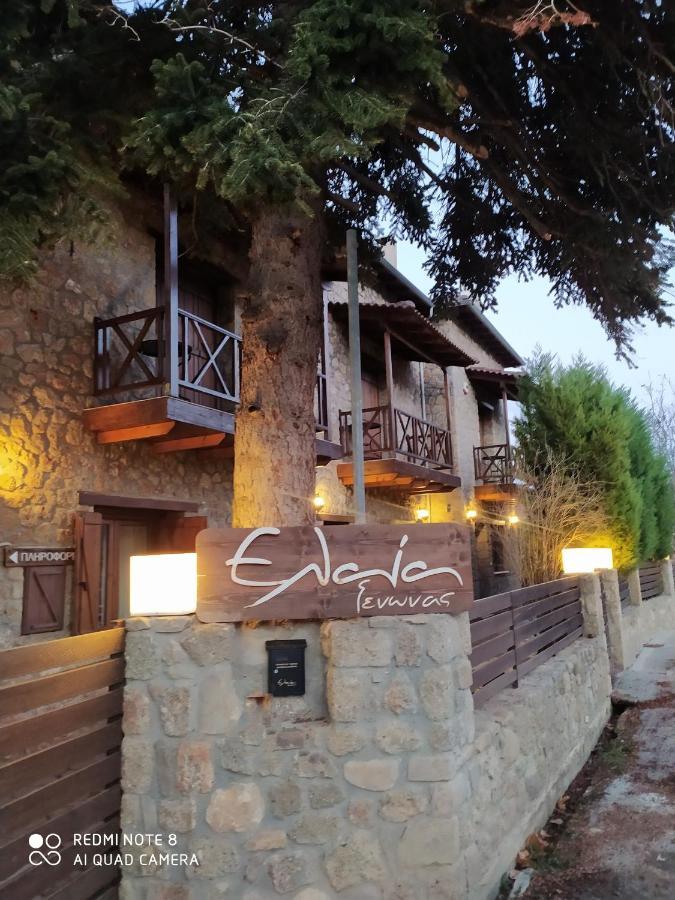 Guesthouse Elaia Synikia Mesi Trikalon Zewnętrze zdjęcie
