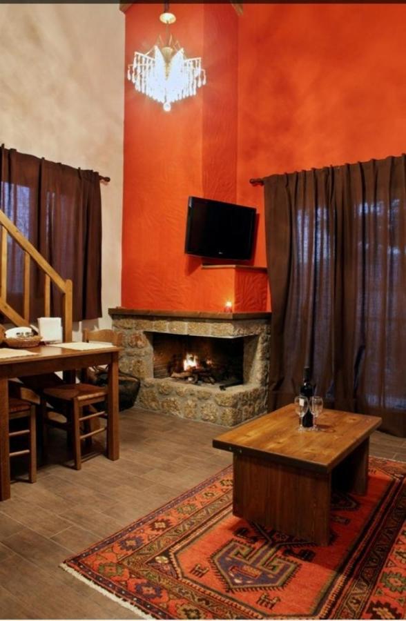 Guesthouse Elaia Synikia Mesi Trikalon Zewnętrze zdjęcie