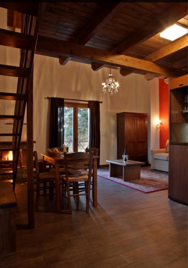 Guesthouse Elaia Synikia Mesi Trikalon Zewnętrze zdjęcie