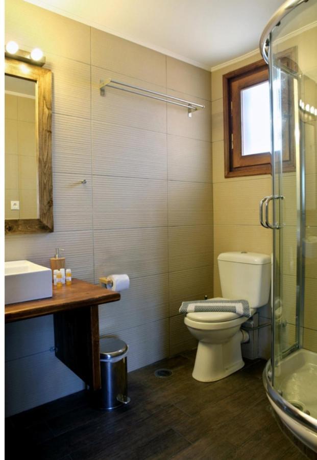 Guesthouse Elaia Synikia Mesi Trikalon Zewnętrze zdjęcie