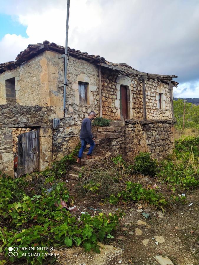 Guesthouse Elaia Synikia Mesi Trikalon Zewnętrze zdjęcie