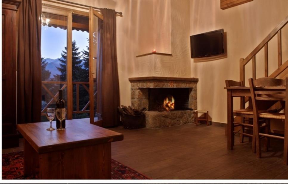 Guesthouse Elaia Synikia Mesi Trikalon Zewnętrze zdjęcie