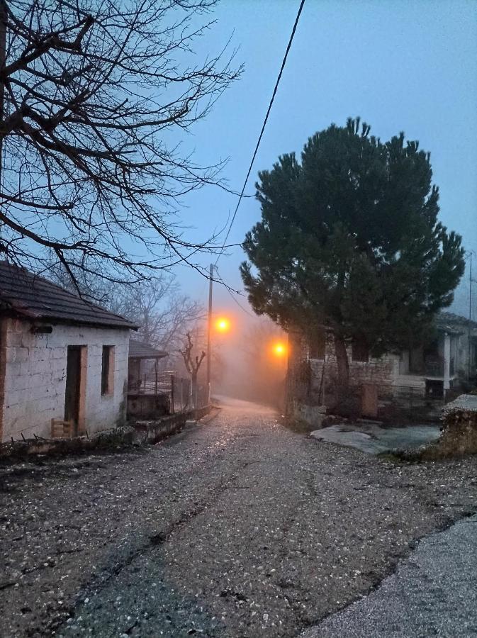 Guesthouse Elaia Synikia Mesi Trikalon Zewnętrze zdjęcie