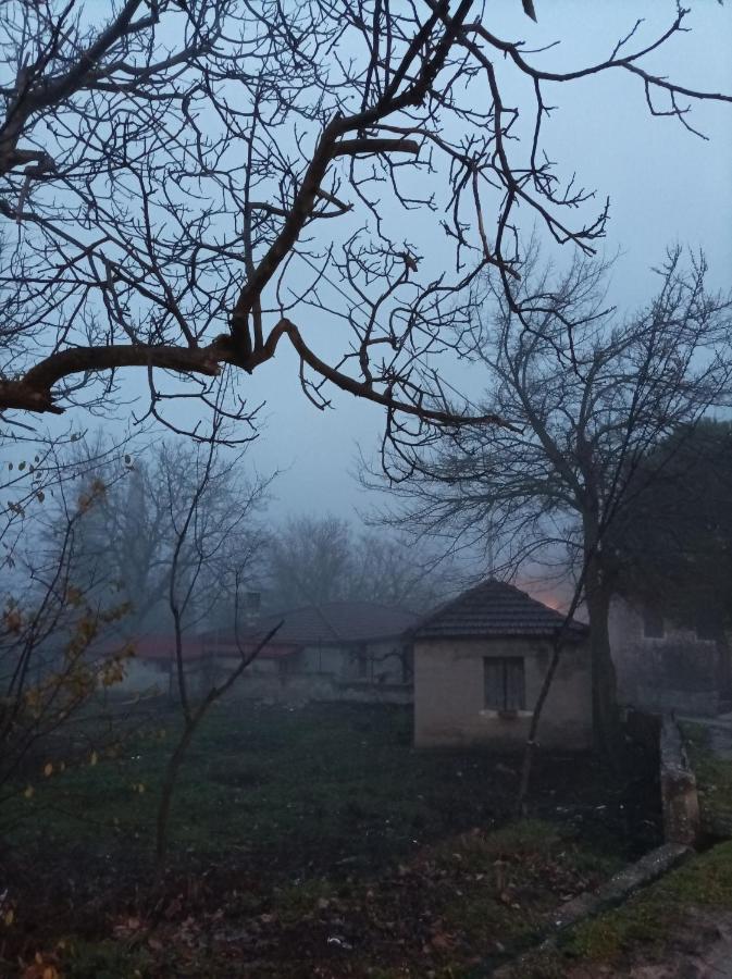 Guesthouse Elaia Synikia Mesi Trikalon Zewnętrze zdjęcie