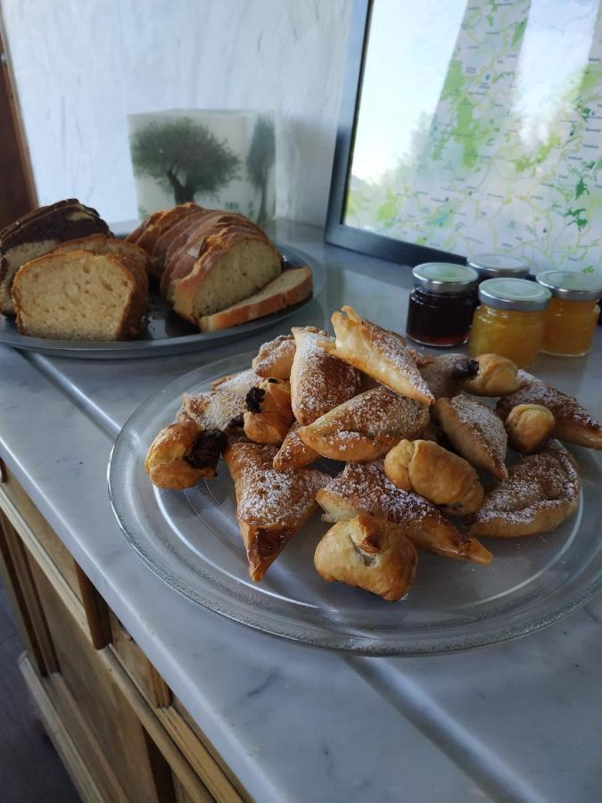 Guesthouse Elaia Synikia Mesi Trikalon Zewnętrze zdjęcie