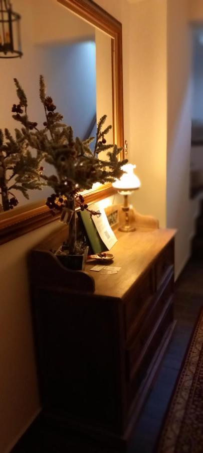 Guesthouse Elaia Synikia Mesi Trikalon Zewnętrze zdjęcie