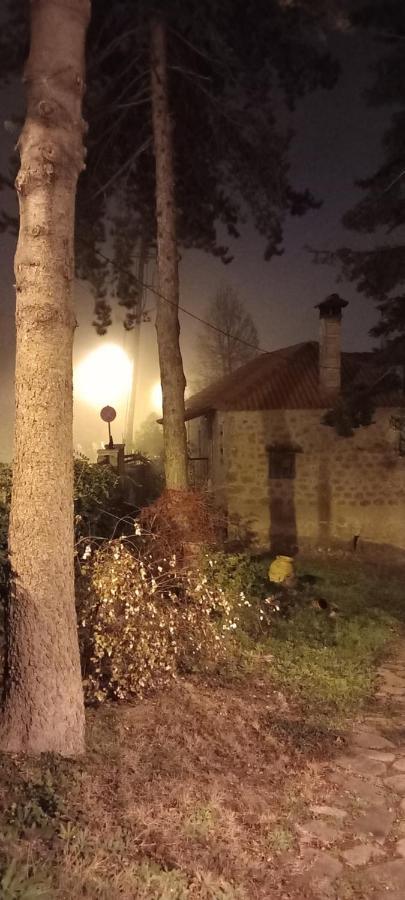 Guesthouse Elaia Synikia Mesi Trikalon Zewnętrze zdjęcie
