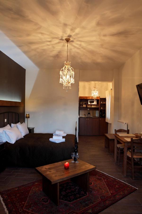 Guesthouse Elaia Synikia Mesi Trikalon Zewnętrze zdjęcie