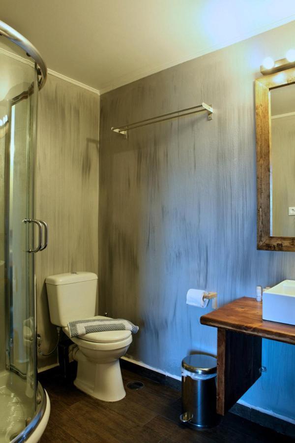 Guesthouse Elaia Synikia Mesi Trikalon Zewnętrze zdjęcie