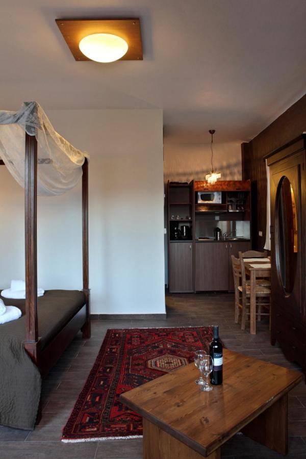 Guesthouse Elaia Synikia Mesi Trikalon Zewnętrze zdjęcie