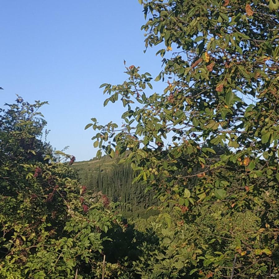 Guesthouse Elaia Synikia Mesi Trikalon Zewnętrze zdjęcie